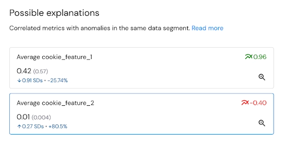 ML Monitoring Issues